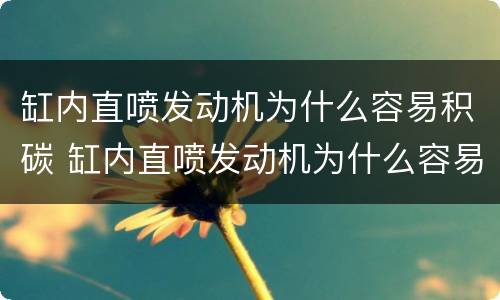 缸内直喷发动机为什么容易积碳 缸内直喷发动机为什么容易积碳呢