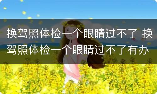 换驾照体检一个眼睛过不了 换驾照体检一个眼睛过不了有办法过吗