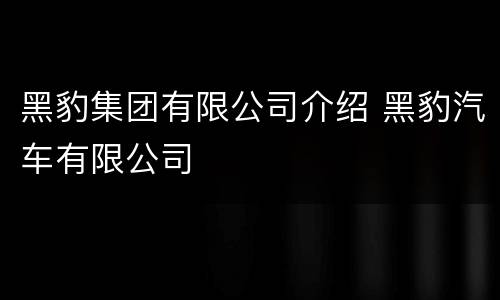 黑豹集团有限公司介绍 黑豹汽车有限公司