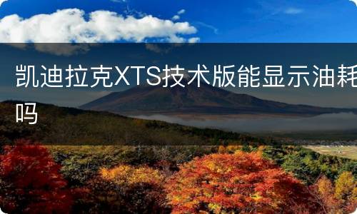 凯迪拉克XTS技术版能显示油耗吗