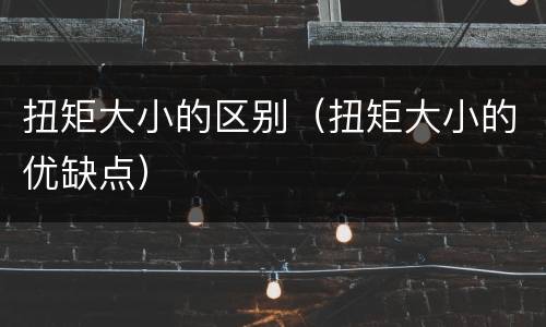 扭矩大小的区别（扭矩大小的优缺点）