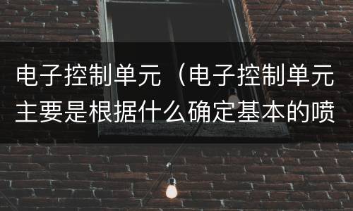 电子控制单元（电子控制单元主要是根据什么确定基本的喷油量）