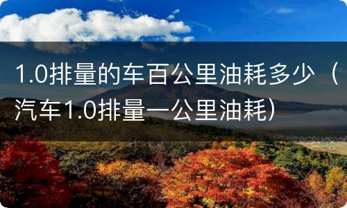 1.0排量的车百公里油耗多少（汽车1.0排量一公里油耗）