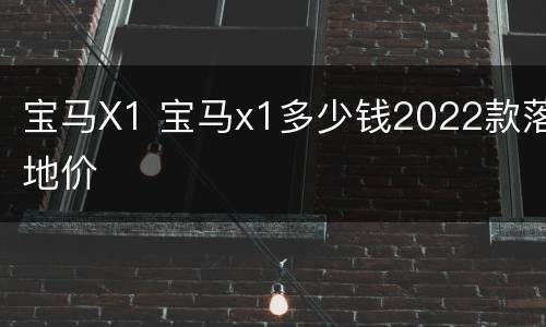 宝马X1 宝马x1多少钱2022款落地价