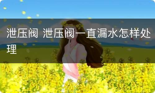 泄压阀 泄压阀一直漏水怎样处理