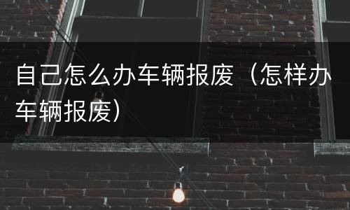 自己怎么办车辆报废（怎样办车辆报废）
