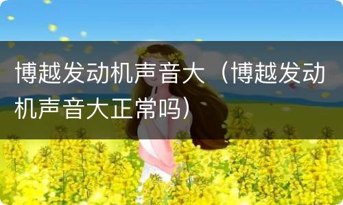 博越发动机声音大（博越发动机声音大正常吗）