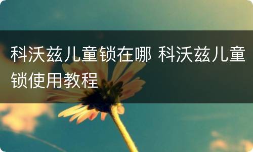 科沃兹儿童锁在哪 科沃兹儿童锁使用教程