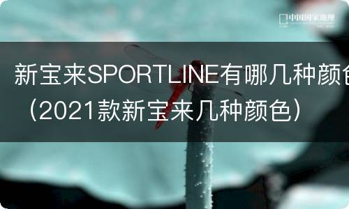 新宝来SPORTLINE有哪几种颜色（2021款新宝来几种颜色）