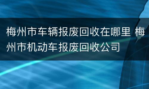 梅州市车辆报废回收在哪里 梅州市机动车报废回收公司