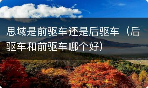 思域是前驱车还是后驱车（后驱车和前驱车哪个好）