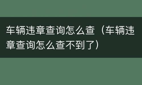 车辆违章查询怎么查（车辆违章查询怎么查不到了）