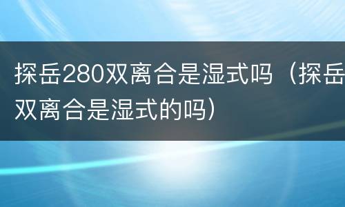 探岳280双离合是湿式吗（探岳双离合是湿式的吗）