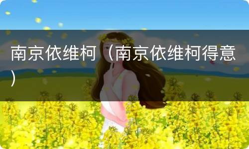 南京依维柯（南京依维柯得意）