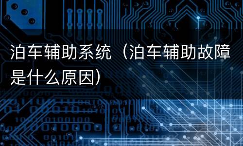 泊车辅助系统（泊车辅助故障是什么原因）