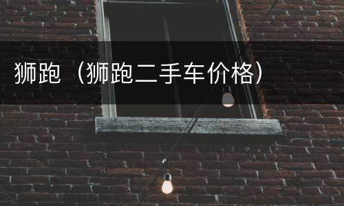狮跑（狮跑二手车价格）