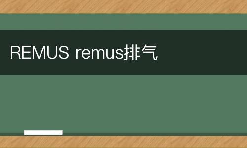 REMUS remus排气
