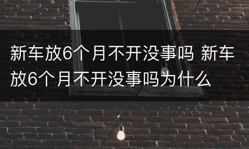 新车放6个月不开没事吗 新车放6个月不开没事吗为什么