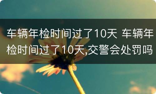 车辆年检时间过了10天 车辆年检时间过了10天,交警会处罚吗