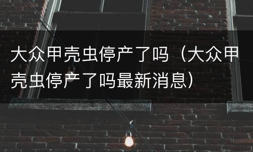 大众甲壳虫停产了吗（大众甲壳虫停产了吗最新消息）