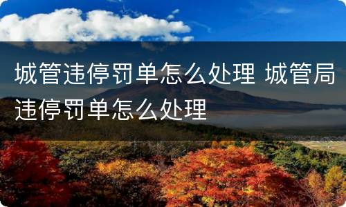 城管违停罚单怎么处理 城管局违停罚单怎么处理