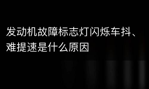 发动机故障标志灯闪烁车抖、难提速是什么原因