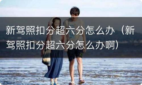 新驾照扣分超六分怎么办（新驾照扣分超六分怎么办啊）