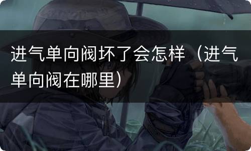 进气单向阀坏了会怎样（进气单向阀在哪里）