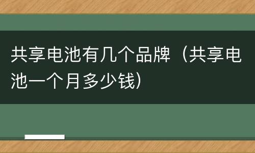 共享电池有几个品牌（共享电池一个月多少钱）