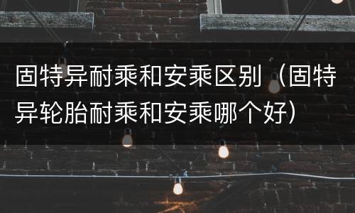 固特异耐乘和安乘区别（固特异轮胎耐乘和安乘哪个好）