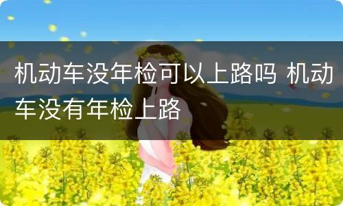 机动车没年检可以上路吗 机动车没有年检上路