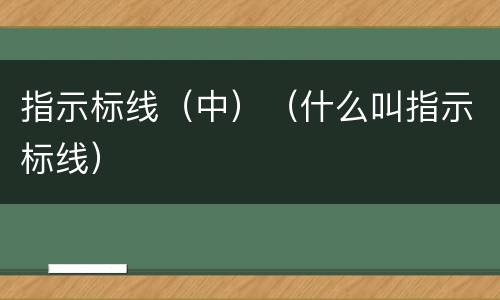 指示标线（中）（什么叫指示标线）