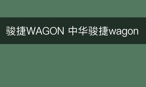 骏捷WAGON 中华骏捷wagon