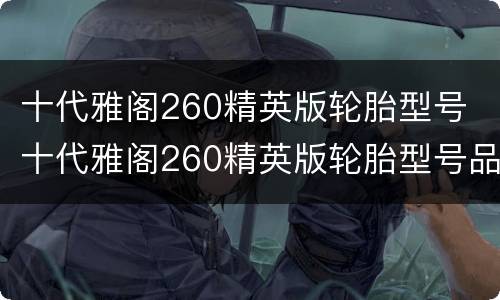 十代雅阁260精英版轮胎型号 十代雅阁260精英版轮胎型号品牌