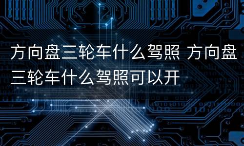 方向盘三轮车什么驾照 方向盘三轮车什么驾照可以开