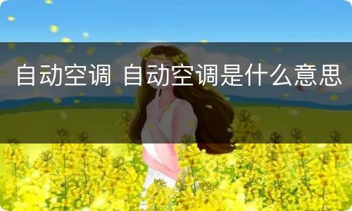 自动空调 自动空调是什么意思