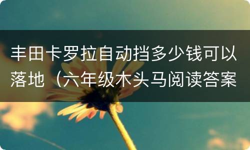 丰田卡罗拉自动挡多少钱可以落地（六年级木头马阅读答案）
