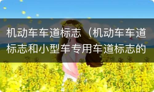 机动车车道标志（机动车车道标志和小型车专用车道标志的区别）