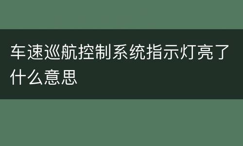 车速巡航控制系统指示灯亮了什么意思