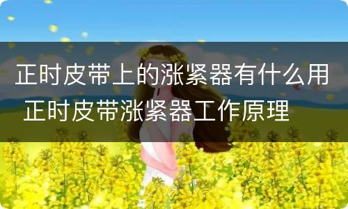 正时皮带上的涨紧器有什么用 正时皮带涨紧器工作原理