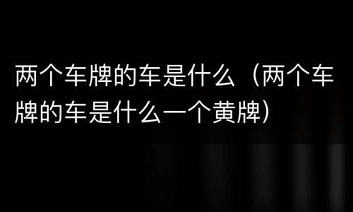 两个车牌的车是什么（两个车牌的车是什么一个黄牌）