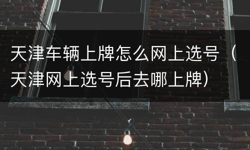 天津车辆上牌怎么网上选号（天津网上选号后去哪上牌）