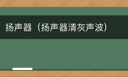 扬声器（扬声器清灰声波）