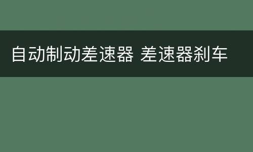 自动制动差速器 差速器刹车