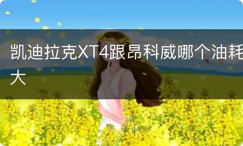 凯迪拉克XT4跟昂科威哪个油耗大