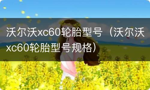 沃尔沃xc60轮胎型号（沃尔沃xc60轮胎型号规格）