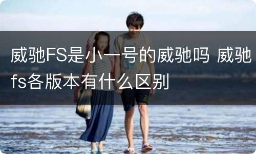 威驰FS是小一号的威驰吗 威驰fs各版本有什么区别