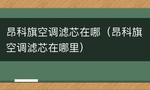 昂科旗空调滤芯在哪（昂科旗空调滤芯在哪里）