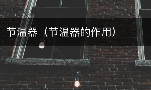 节温器（节温器的作用）