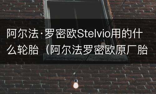 阿尔法·罗密欧Stelvio用的什么轮胎（阿尔法罗密欧原厂胎）